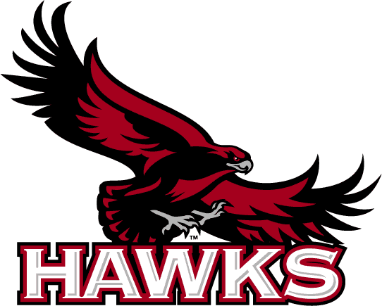 St. Joseph's Hawks 2001-Pres Primary Logo diy fabric transfers